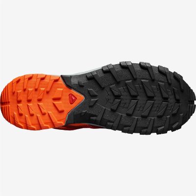 Salomon-XA-Rogg-GTX-67681.jpg